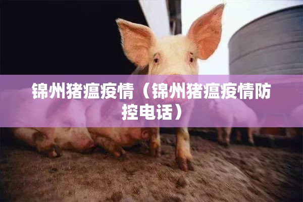 锦州猪瘟疫情（锦州猪瘟疫情防控电话）
