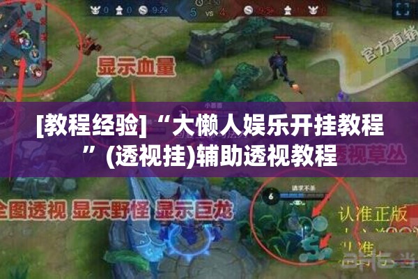 [教程经验]“大懒人娱乐开挂教程	”(透视挂)辅助透视教程