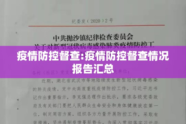 疫情防控督查:疫情防控督查情况报告汇总