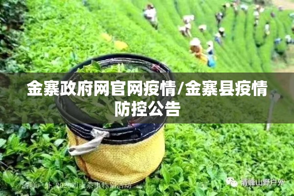 金寨政府网官网疫情/金寨县疫情防控公告