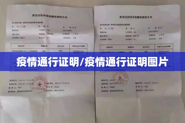疫情通行证明/疫情通行证明图片