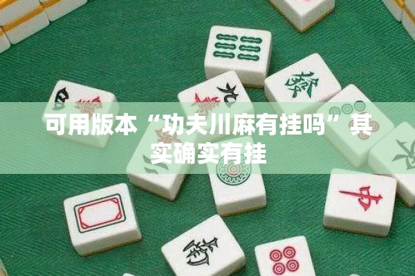可用版本“功夫川麻有挂吗”其实确实有挂
