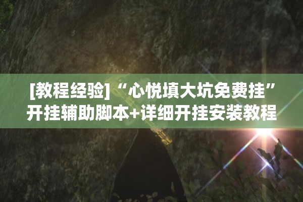 [教程经验]“心悦填大坑免费挂”开挂辅助脚本+详细开挂安装教程