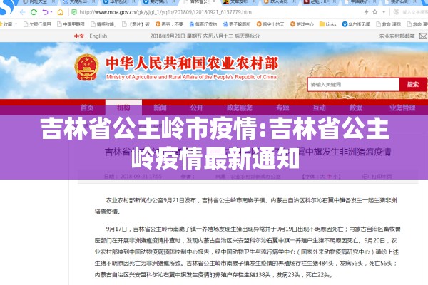吉林省公主岭市疫情:吉林省公主岭疫情最新通知