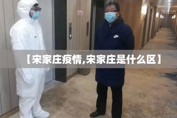 【宋家庄疫情,宋家庄是什么区】