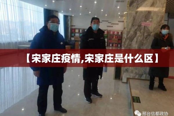 【宋家庄疫情,宋家庄是什么区】