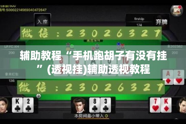 辅助教程“手机跑胡子有没有挂”(透视挂)辅助透视教程