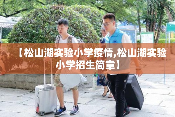 【松山湖实验小学疫情,松山湖实验小学招生简章】