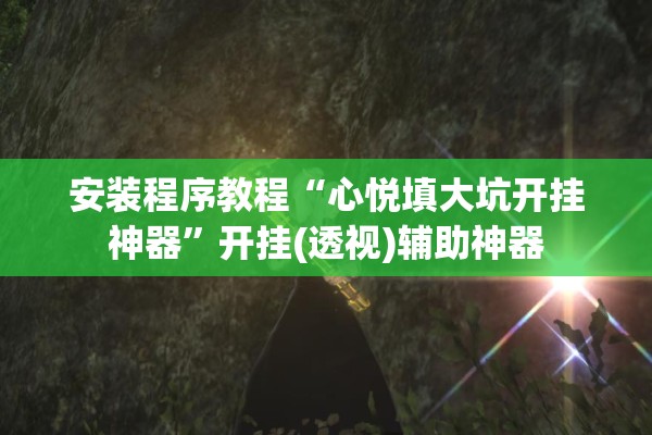 安装程序教程“心悦填大坑开挂神器	”开挂(透视)辅助神器