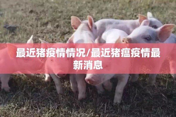 最近猪疫情情况/最近猪瘟疫情最新消息