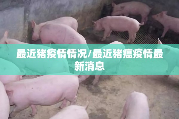 最近猪疫情情况/最近猪瘟疫情最新消息