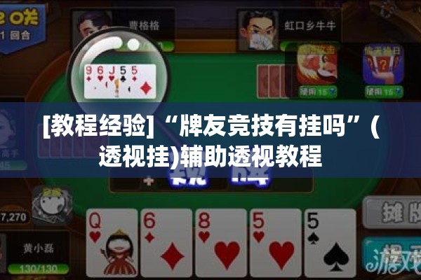[教程经验]“牌友竞技有挂吗”(透视挂)辅助透视教程