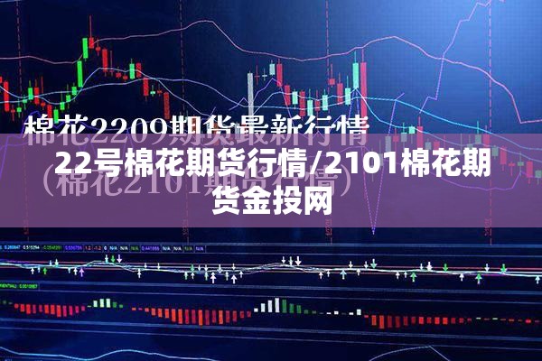 22号棉花期货行情/2101棉花期货金投网