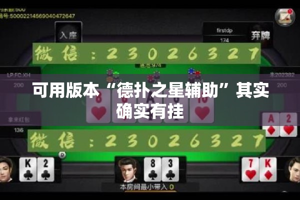 可用版本“德扑之星辅助	”其实确实有挂