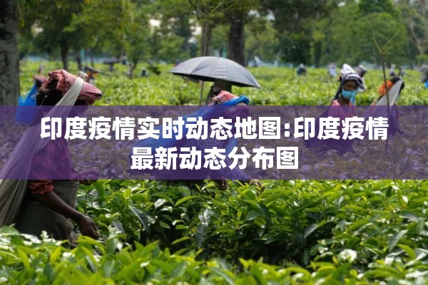 印度疫情实时动态地图:印度疫情最新动态分布图