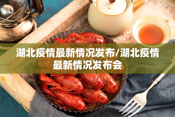 湖北疫情最新情况发布/湖北疫情最新情况发布会