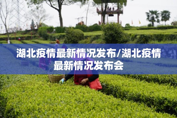 湖北疫情最新情况发布/湖北疫情最新情况发布会