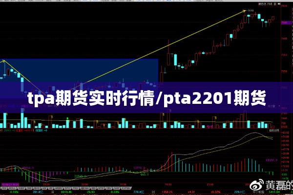 tpa期货实时行情/pta2201期货