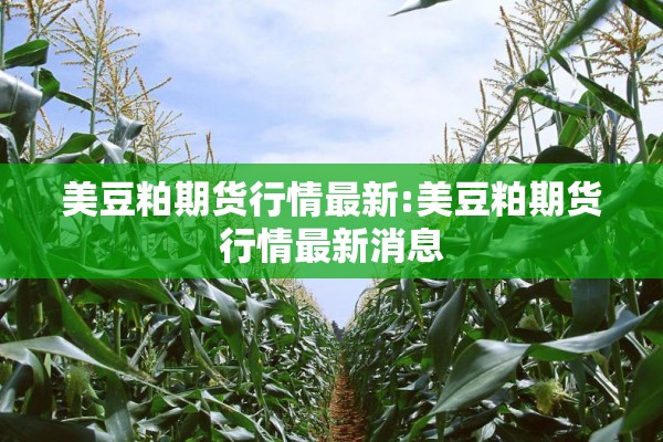 美豆粕期货行情最新:美豆粕期货行情最新消息