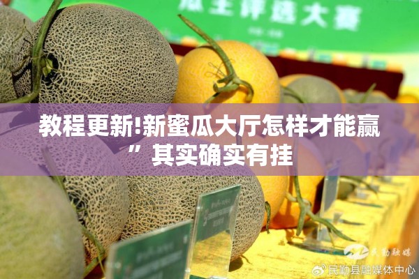 教程更新!新蜜瓜大厅怎样才能赢”其实确实有挂