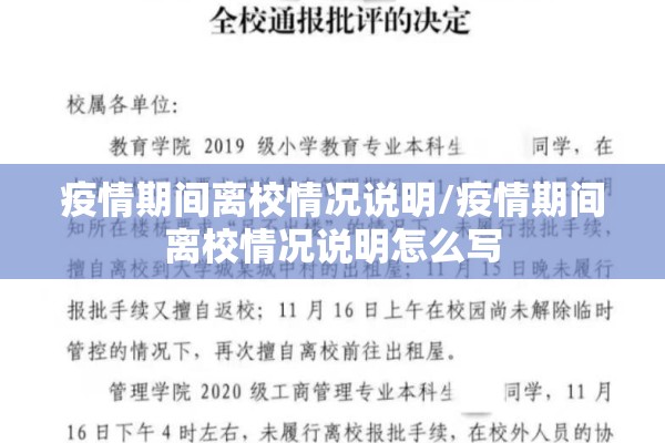 疫情期间离校情况说明/疫情期间离校情况说明怎么写