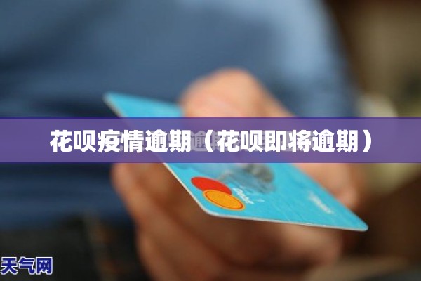 花呗疫情逾期（花呗即将逾期）