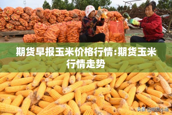 期货早报玉米价格行情:期货玉米行情走势