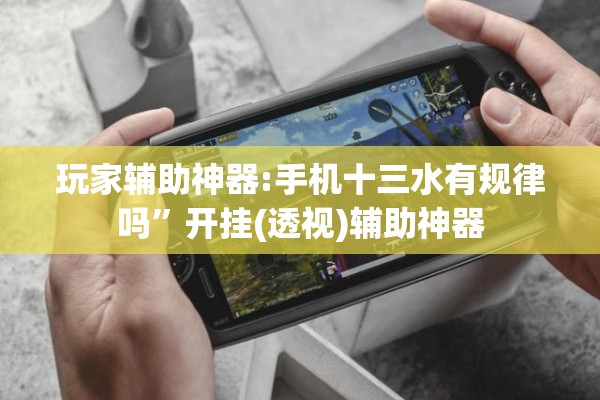 玩家辅助神器:手机十三水有规律吗	”开挂(透视)辅助神器