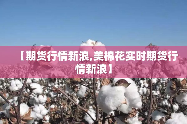 【期货行情新浪,美棉花实时期货行情新浪】
