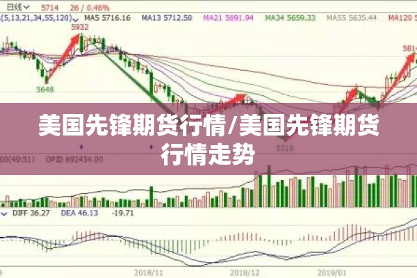 美国先锋期货行情/美国先锋期货行情走势