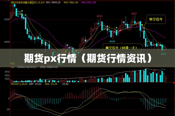 期货px行情（期货行情资讯）