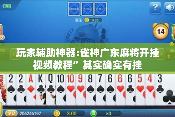 玩家辅助神器:雀神广东麻将开挂视频教程	”其实确实有挂