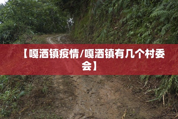 【嘎洒镇疫情/嘎洒镇有几个村委会】
