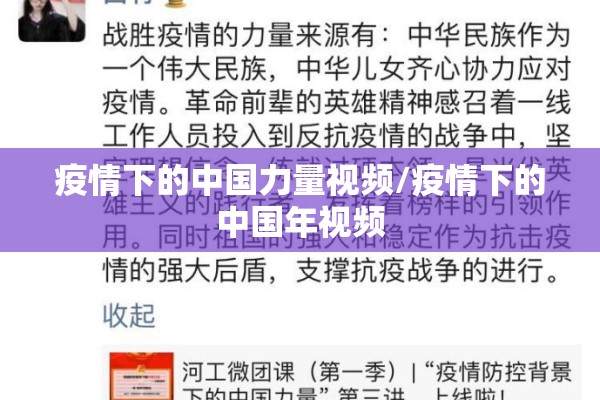 疫情下的中国力量视频/疫情下的中国年视频