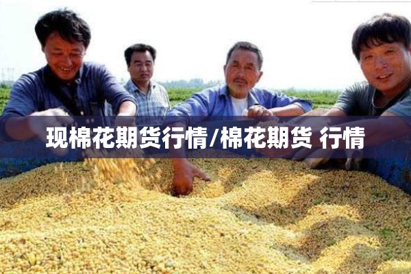 现棉花期货行情/棉花期货 行情
