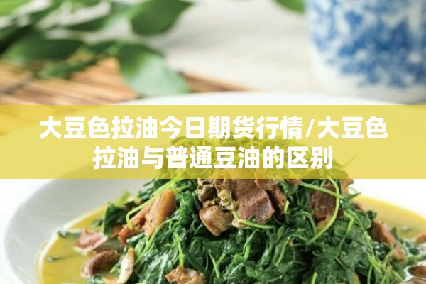 大豆色拉油今日期货行情/大豆色拉油与普通豆油的区别