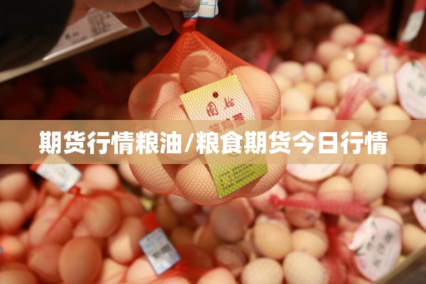 期货行情粮油/粮食期货今日行情