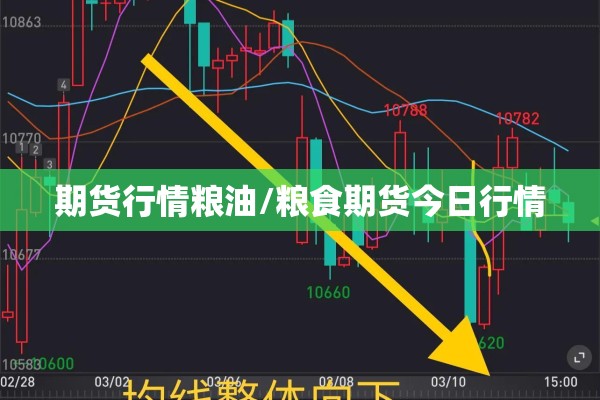期货行情粮油/粮食期货今日行情
