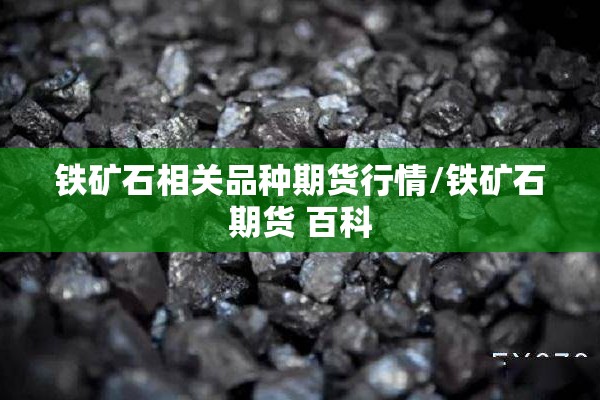 铁矿石相关品种期货行情/铁矿石期货 百科 铁矿石相关品种期货行情/铁矿石期货 百科