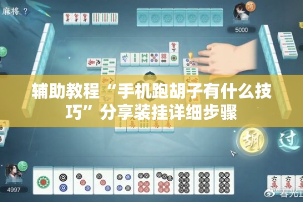 辅助教程“手机跑胡子有什么技巧”分享装挂详细步骤