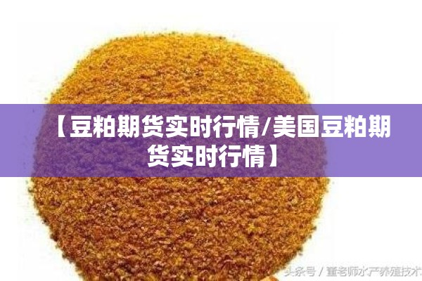 【豆粕期货实时行情/美国豆粕期货实时行情】