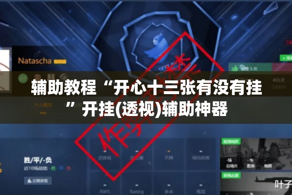 辅助教程“开心十三张有没有挂	”开挂(透视)辅助神器