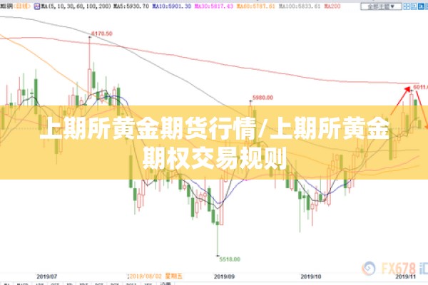 上期所黄金期货行情/上期所黄金期权交易规则