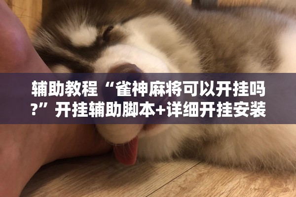 辅助教程“雀神麻将可以开挂吗?”开挂辅助脚本+详细开挂安装教程