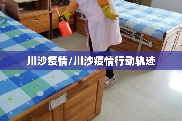 川沙疫情/川沙疫情行动轨迹