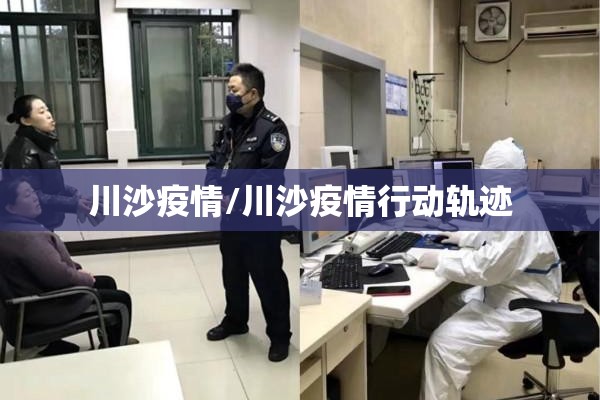 川沙疫情/川沙疫情行动轨迹