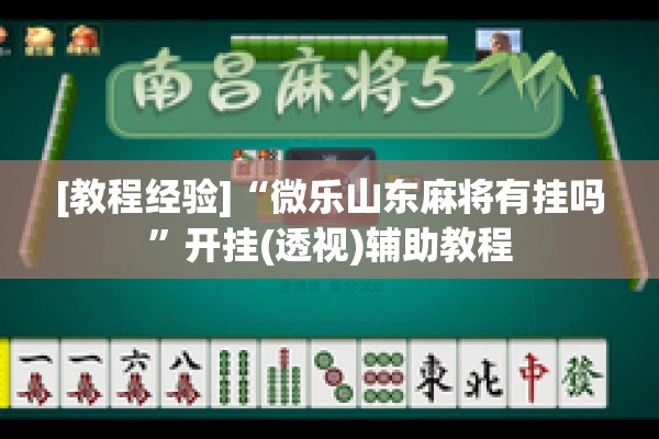 [教程经验]“微乐山东麻将有挂吗”开挂(透视)辅助教程