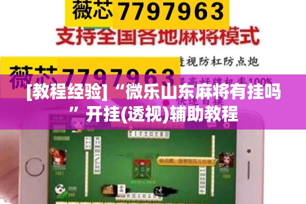 [教程经验]“微乐山东麻将有挂吗”开挂(透视)辅助教程