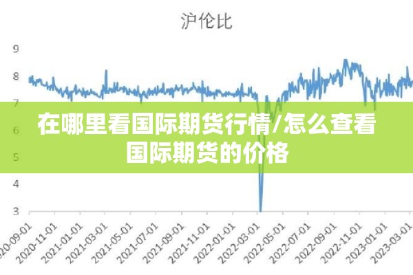 在哪里看国际期货行情/怎么查看国际期货的价格