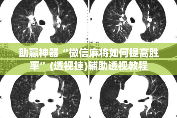 助赢神器“微信麻将如何提高胜率”(透视挂)辅助透视教程